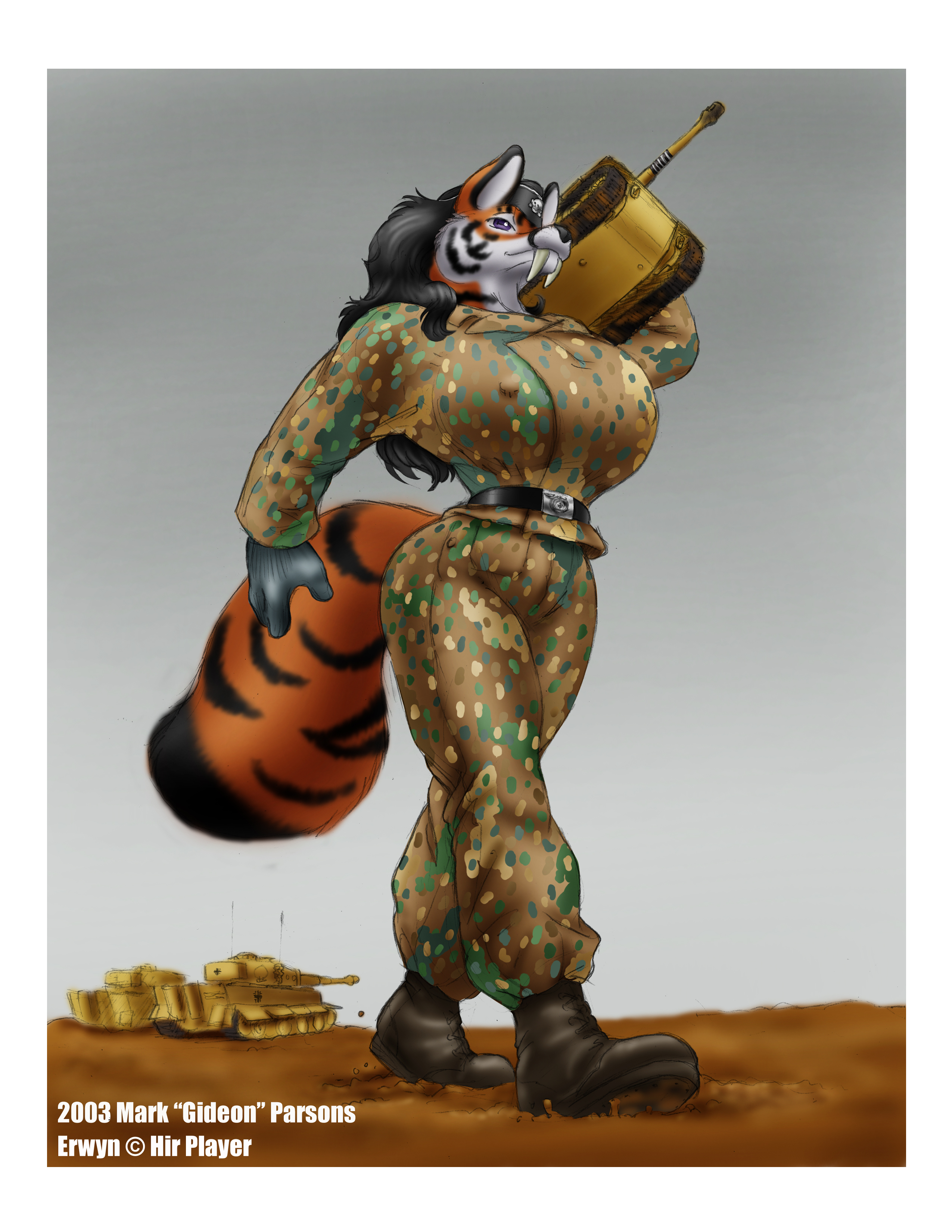 Erwyn_Tiger_Recovery