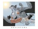 DracoPuma
