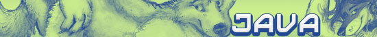 Java