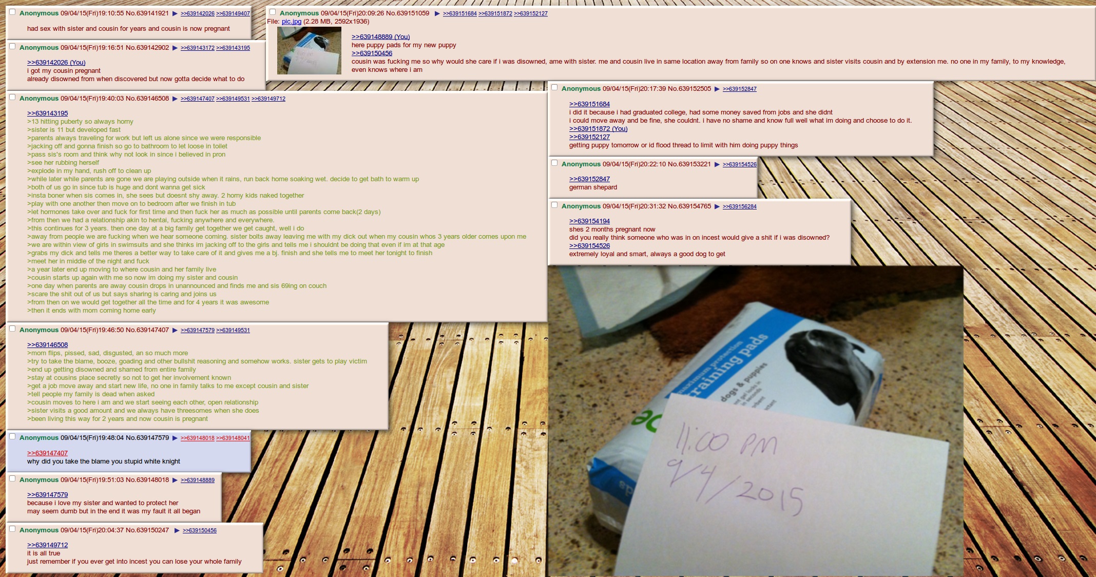 Anon and his sister get horny