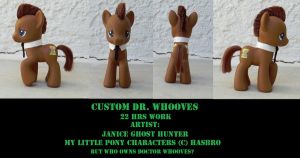Custom Dr. Whooves by janiceghosthunter