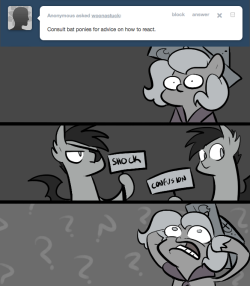 > Consult bat ponies for advice on how to react.