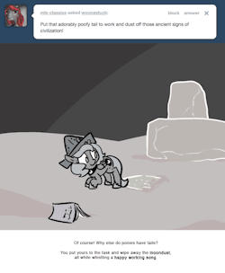 Of course! Why else do ponies have tails?
You put yours to the task and wipe away the moondust, all while whistling a happy working song.