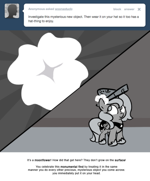 It’s a moonflower! How did that get here? They don’t grow on the surface!
You celebrate this monumental find by treating it in the same manner you do every other precious, mysterious object you come across:
you immediately put it on your head.